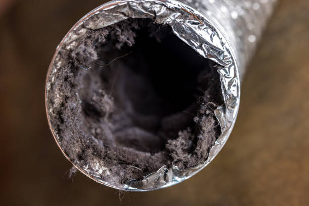 Best Duct Cleaning Specialists  in Brookdale, CA